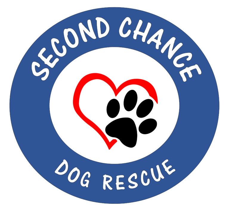 Second Chance Dog Rescue Rescue Rehab Rehome